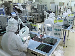 Ho Chi Minh city sees FDI surge in February